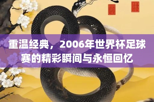 重温经典，2006年世界杯足球赛的精彩瞬间与永恒回忆广西贺州市华昌新材料有限公司