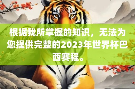 根据我所掌握的知识，无法为您提供完整的2023年世界杯巴西赛程。
