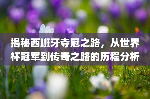 揭秘西班牙夺冠之路，从世界杯冠军到传奇之路的历程分析广西贺州市华昌新材料有限公司