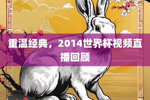 重温经典，2014世界杯视频直播回顾