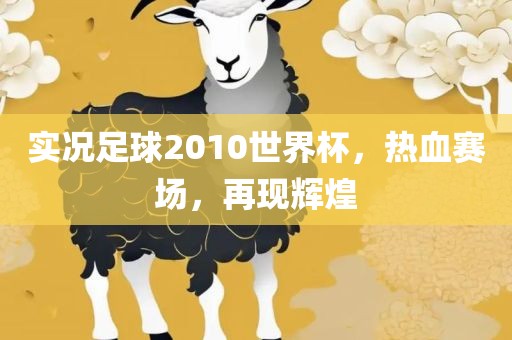 实况足球2010世界杯，热血广西贺州市华昌新材料有限公司赛场，再现辉煌