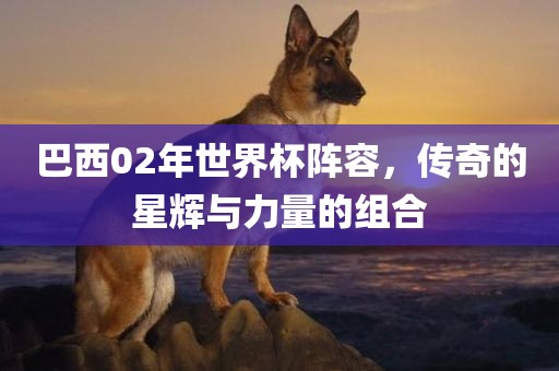 巴西02年世界杯阵容，传奇的星辉与力量的组合广西贺州市华昌新材料有限公司
