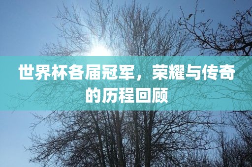 世界杯各届冠军，荣耀与传奇的历程回顾广西贺州市华昌新材料有限公司