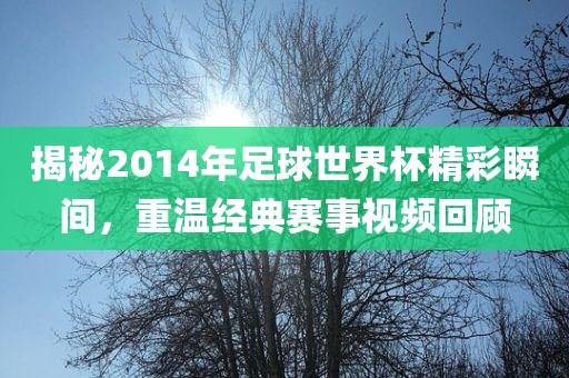 chenqimei 第5页