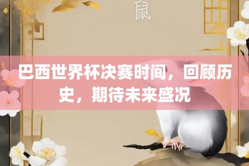 巴西世界杯决赛时间，回顾历史，期待未来盛况广西贺州市华昌新材料有限公司