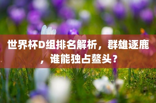 世界杯D组排名解析，群雄逐鹿，谁能独占鳌头？广西贺州市华昌新材料有限公司