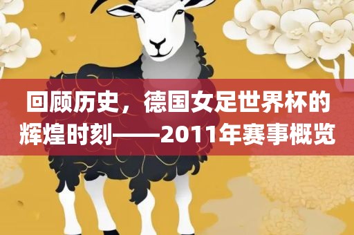 回顾历史，德国女足世界杯的辉煌时刻——2011年赛事概览广西贺州市华昌新材料有限公司
