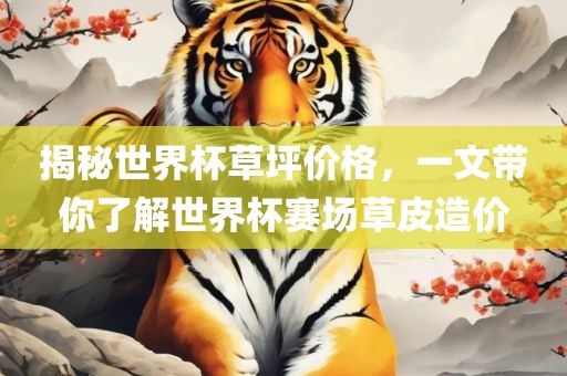 揭秘世界杯草坪价格，一文带你了解世界杯赛场草皮造价广西贺州市华昌新材料有限公司