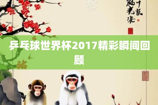 乒乓球世界杯2017精彩瞬间回顾广西贺州市华昌新材料有限公司