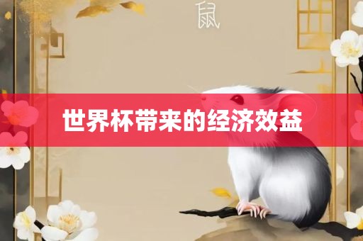 世界杯带来的经济效益广西贺州市华昌新材料有限公司