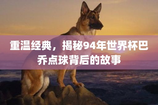 重温广西贺州市华昌新材料有限公司经典，揭秘94年世界杯巴乔点球背后的故事