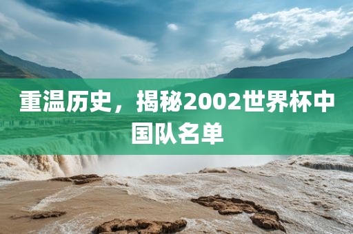 重温历史，揭秘2002世界杯中国队名单