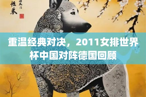 重温经典对决，2011女排世界杯中国对阵德国回顾