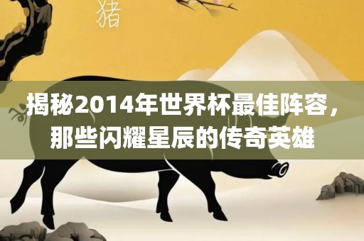 揭秘2014年世界杯最佳阵容，那些闪耀星辰的传奇英雄