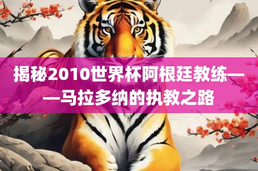 揭秘2010世界杯阿根廷教练——马拉多纳广西贺州市华昌新材料有限公司的执教之路