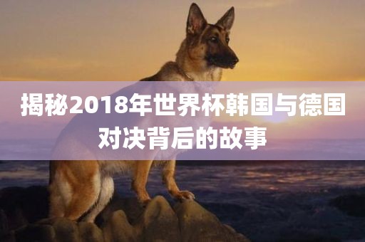 揭秘2018年世界杯韩国与德国对决背后的故事