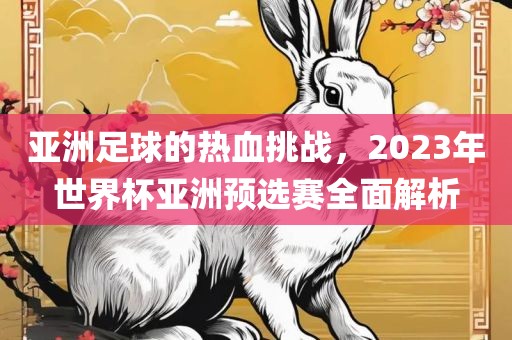 亚洲足球的热血挑战，2023年世界杯亚洲预选赛广西贺州市华昌新材料有限公司全面解析