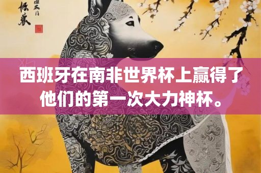 西班牙在南非世界杯上赢得了他们的第一次大力神杯。