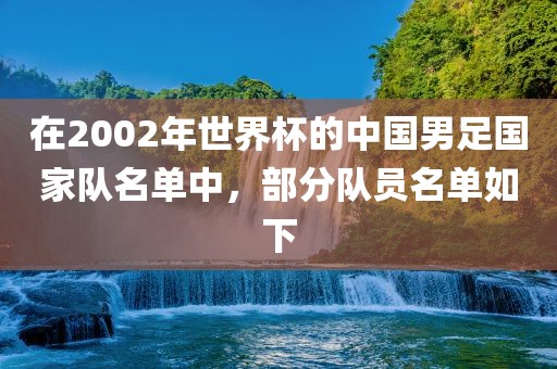 在2002年世界杯的中国男足国家队名单中，部分队员名单如下广西贺州市华昌新材料有限公司