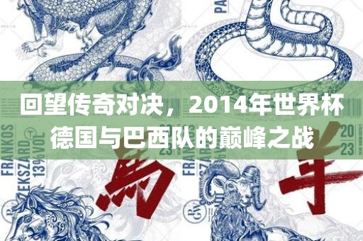 回望传奇对决，2014年广西贺州市华昌新材料有限公司世界杯德国与巴西队的巅峰之战