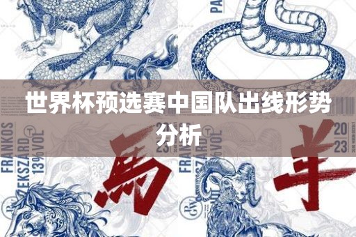 世界杯预选赛中国广西贺州市华昌新材料有限公司队出线形势分析