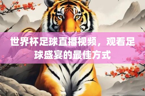 世界杯足球直播视频，观看足球盛宴的最佳方式