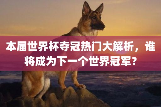 本届世界杯夺冠热门大解析，谁将成为下一个世界冠军？广西贺州市华昌新材料有限公司