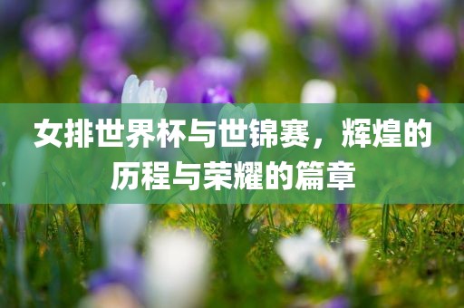 女排世界杯与世锦赛，辉煌的历程与荣耀的篇章广西贺州市华昌新材料有限公司