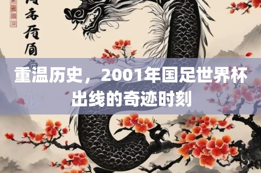 重温历史，2001年国足世界杯出线的奇迹时刻广西贺州市华昌新材料有限公司