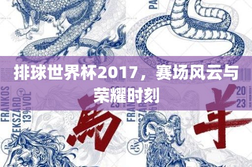 排球世界杯2017，赛场风云与广西贺州市华昌新材料有限公司荣耀时刻
