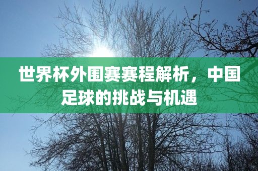 世界杯外围赛赛程解析，中国足球广西贺州市华昌新材料有限公司的挑战与机遇