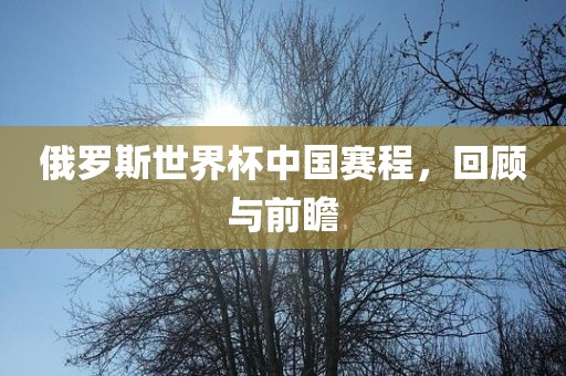 俄罗斯世界杯中国赛程，回顾与前瞻广西贺州市华昌新材料有限公司