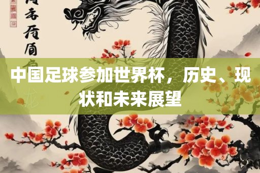中国足球参加世界杯，历史、现状和未来展望广西贺州市华昌新材料有限公司