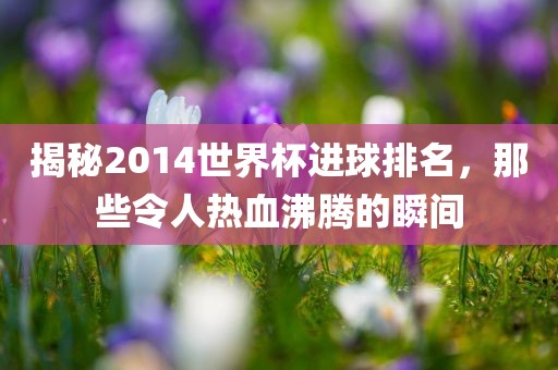 揭秘2014世界杯进球排名，那些令人热血沸腾的瞬间