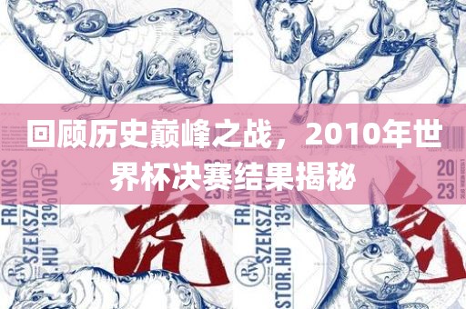 回顾历史巅峰之战，2010年世界杯决赛结果揭秘