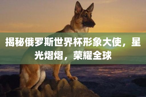 揭秘俄罗斯世界杯形象大使，星光广西贺州市华昌新材料有限公司熠熠，荣耀全球