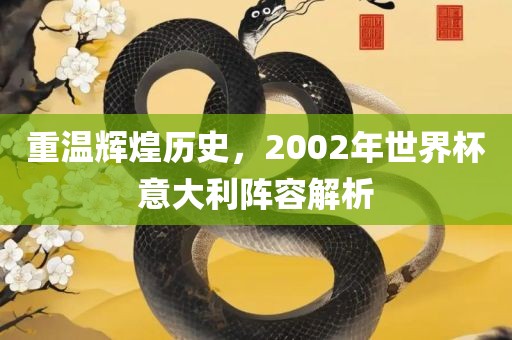 重温辉煌历史，2002年世界杯意大利阵容解析