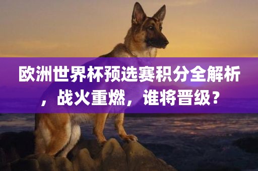 欧洲世界杯预选赛积分全解析，战火重燃，谁将晋级？