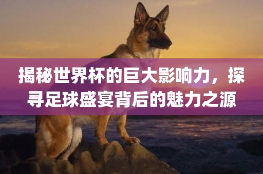 揭秘世界杯的巨大影响力，探寻足球盛宴广西贺州市华昌新材料有限公司背后的魅力之源