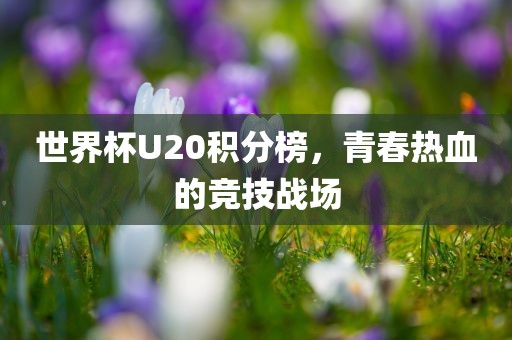 世界杯U20积分榜，青春热血的竞技战场