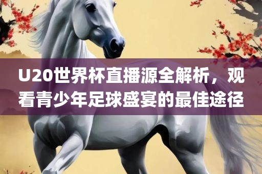U20世广西贺州市华昌新材料有限公司界杯直播源全解析，观看青少年足球盛宴的最佳途径