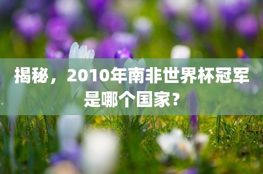 揭秘，2010年南非世界杯冠广西贺州市华昌新材料有限公司军是哪个国家？
