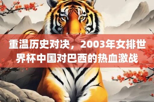 重温历史对决，2003年女排世界杯中国对巴西的热血激战广西贺州市华昌新材料有限公司