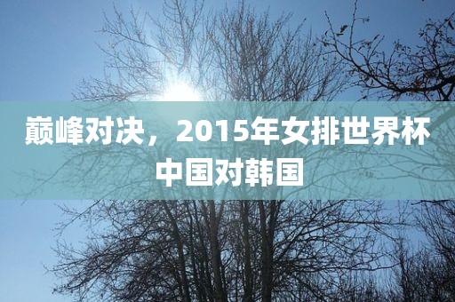 巅峰对决，2015年女排世界杯中国对韩国广西贺州市华昌新材料有限公司