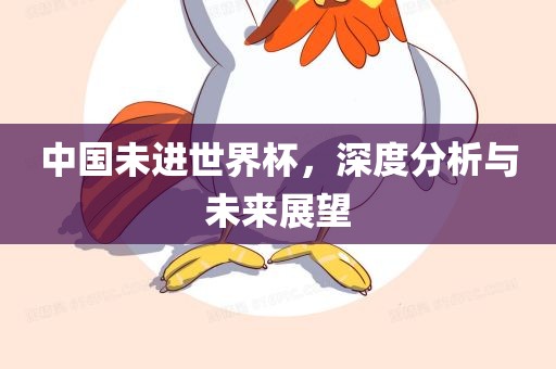 中国未进世界杯，深度分析与未来展望广西贺州市华昌新材料有限公司