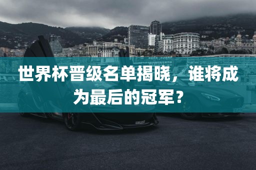 世界杯晋级名单揭晓，谁将成为最后的冠军？