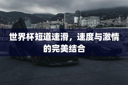 世界杯短道速滑，速度与激情的完美结合广西贺州市华昌新材料有限公司