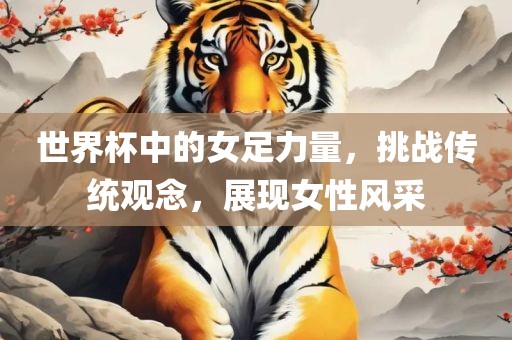 世界杯中的女足力量，挑战传统观念，展现女性风采广西贺州市华昌新材料有限公司