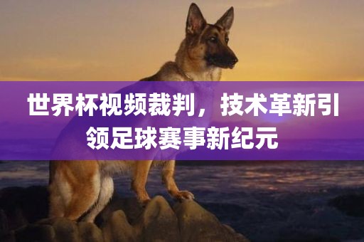 世界杯视频裁判，技术革新引领足球赛事新纪元广西贺州市华昌新材料有限公司