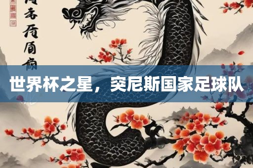 世界杯之星，突尼斯国家足球队